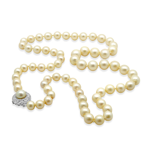 18 Karat White Gold Graduated Pearl Necklace with Pearl and Diamond Clasp