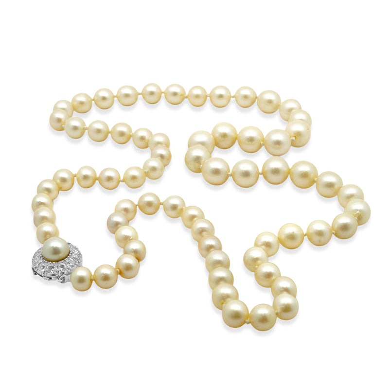 18 Karat White Gold Graduated Pearl Necklace with Pearl and Diamond Clasp