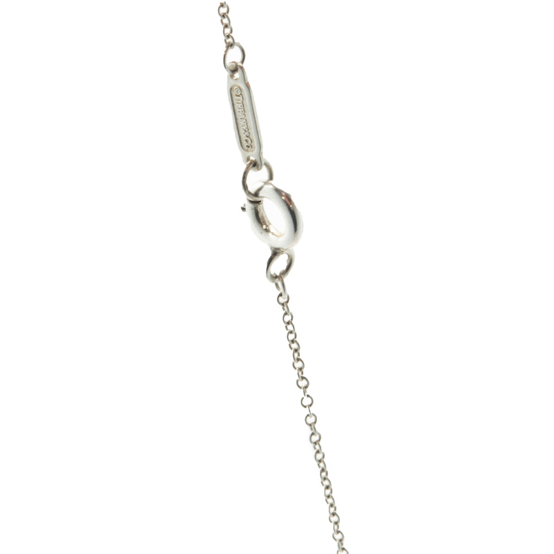 Tiffany & Co. Sterling Silver 1837 Cirlce Necklace